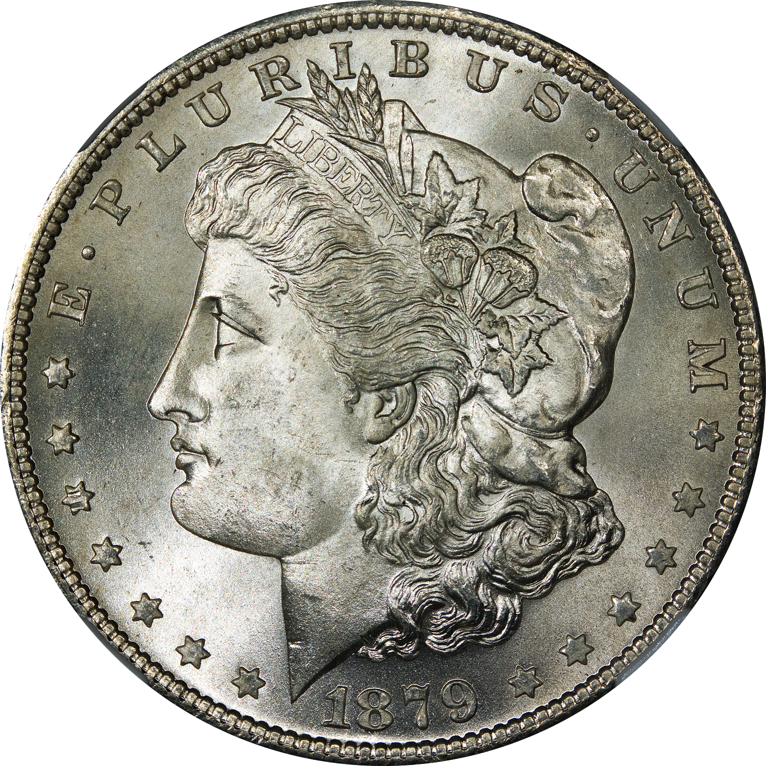 Morgan and Peace Dollar Coins